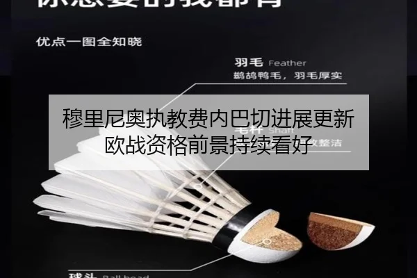穆里尼奥执教费内巴切进展更新 欧战资格前景持续看好